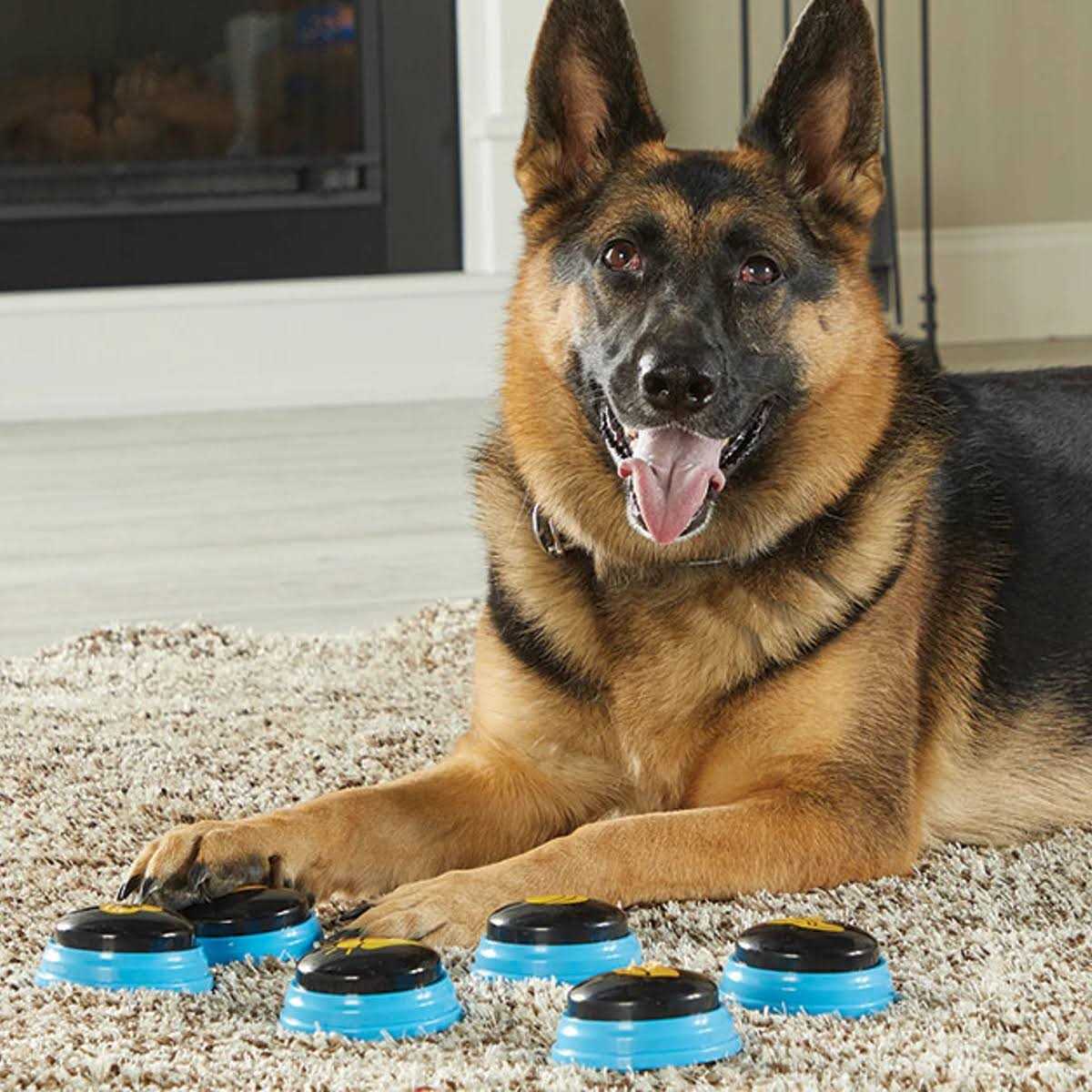 Talking Pet Essential Words C6041