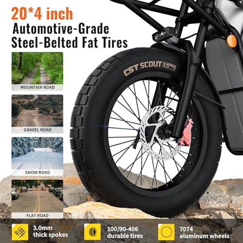 2000W Electric Cargo Bike with 1123WH Removable Battery B6050