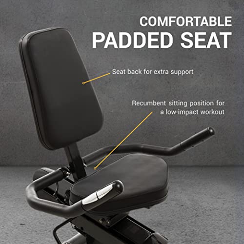 Recumbent Bike Y648