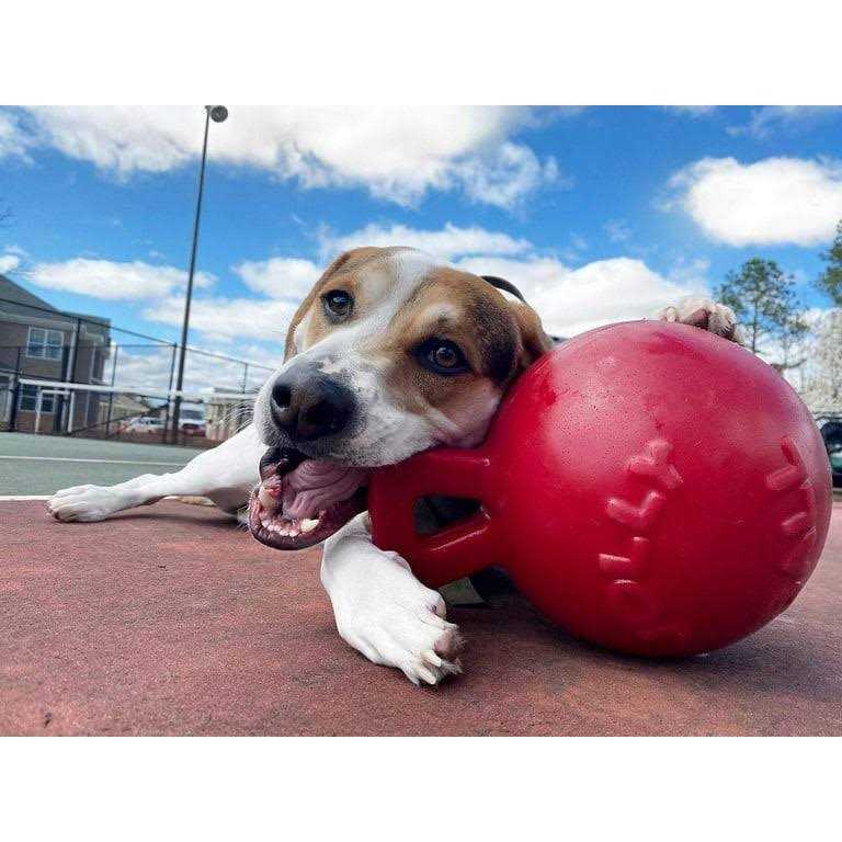 Tug N Toss Ball H15484