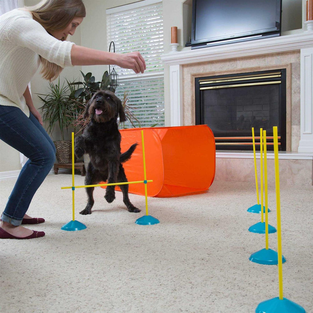 Indoor Dog Agility Kit P917228
