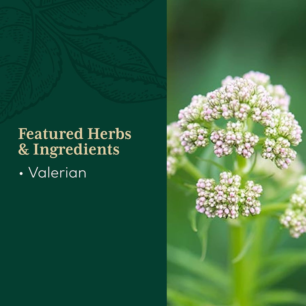 Valerian Root Capsules - 60 Vegan Liquid Phyto-Capsules D655