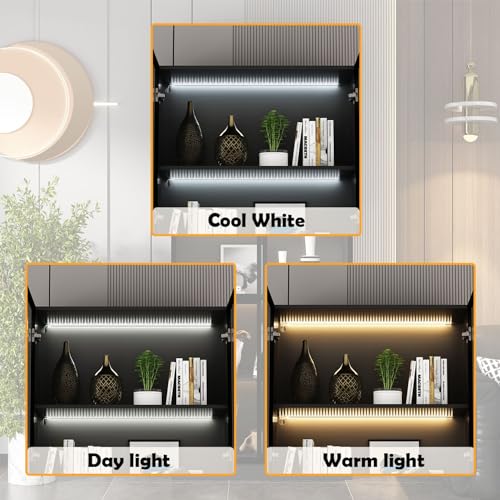 Black Glass Display Cabinet with 5-Tier Shelves and 4 Doors D9293