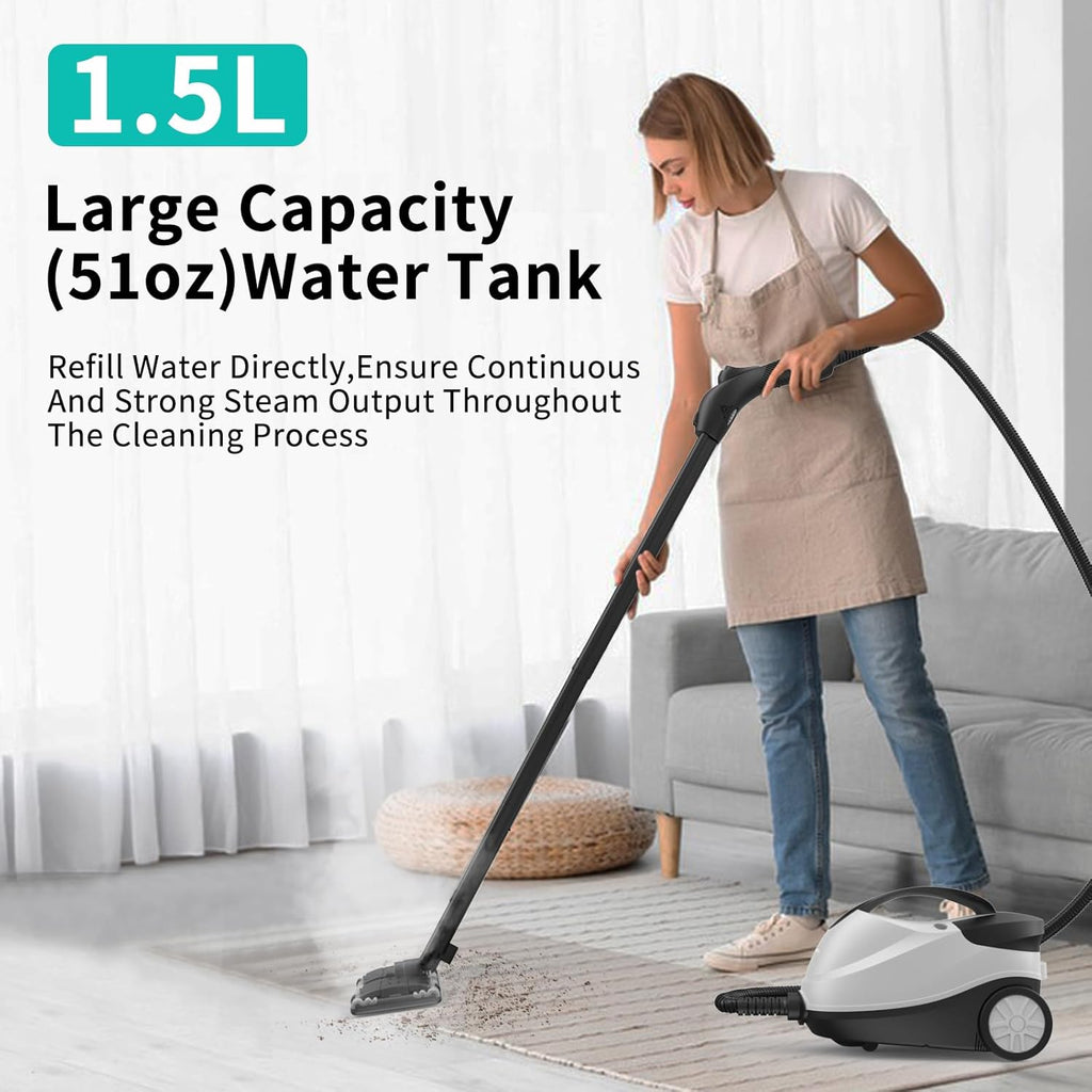 Steam Cleaner T746953