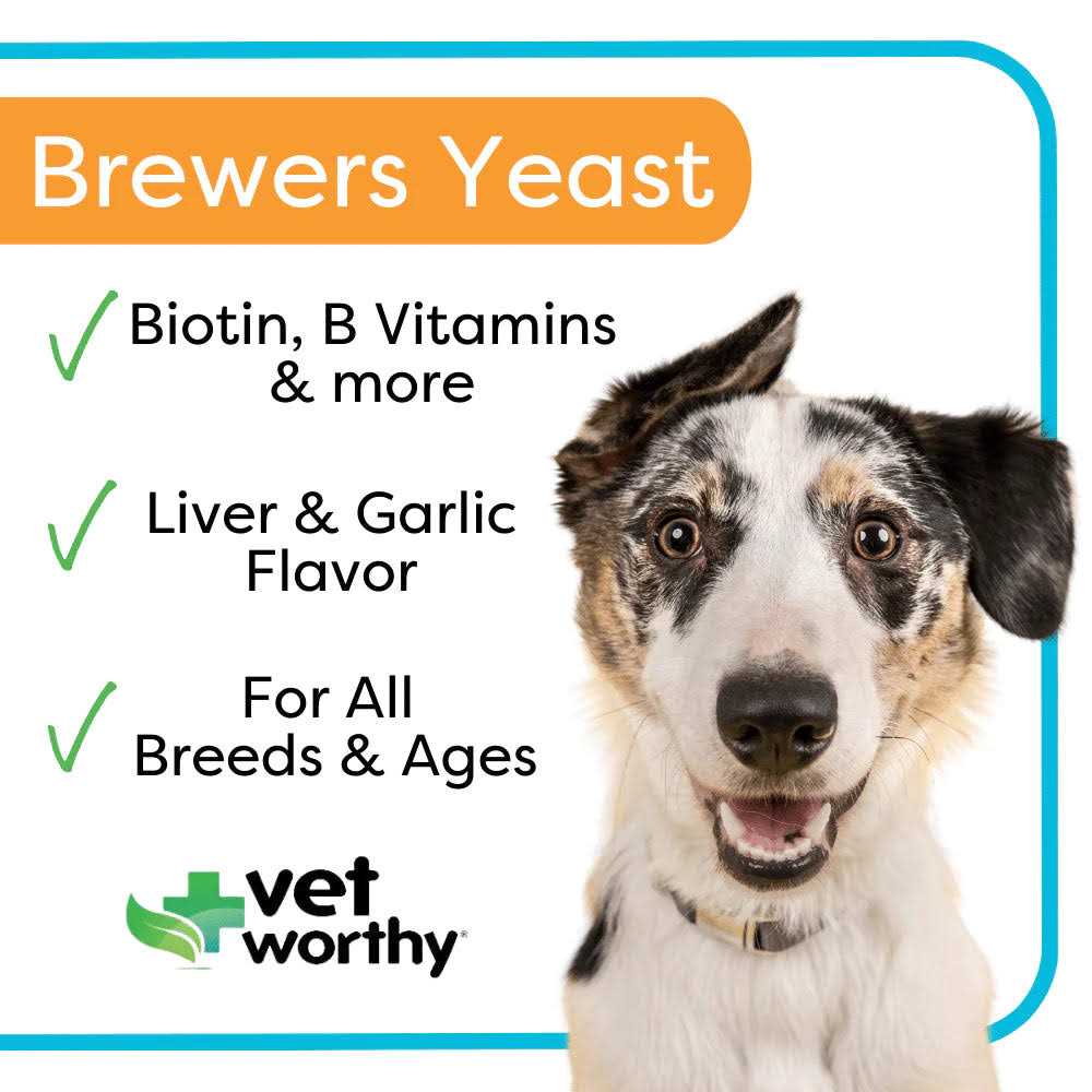 Brewers Yeast Chewable Tablets for Dogs J634