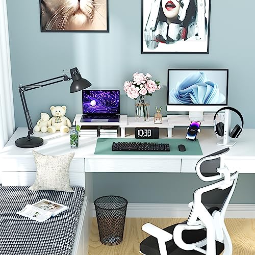 Large Dual Monitor Stand Wood Light Gray B1020