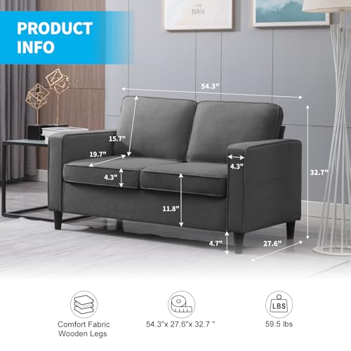 54" Loveseat Sofa Two Seats Modern Comfy Couch N72221
