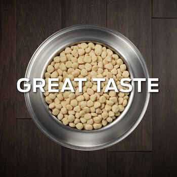 Hydrolyzed Canine Pet Food Y121991