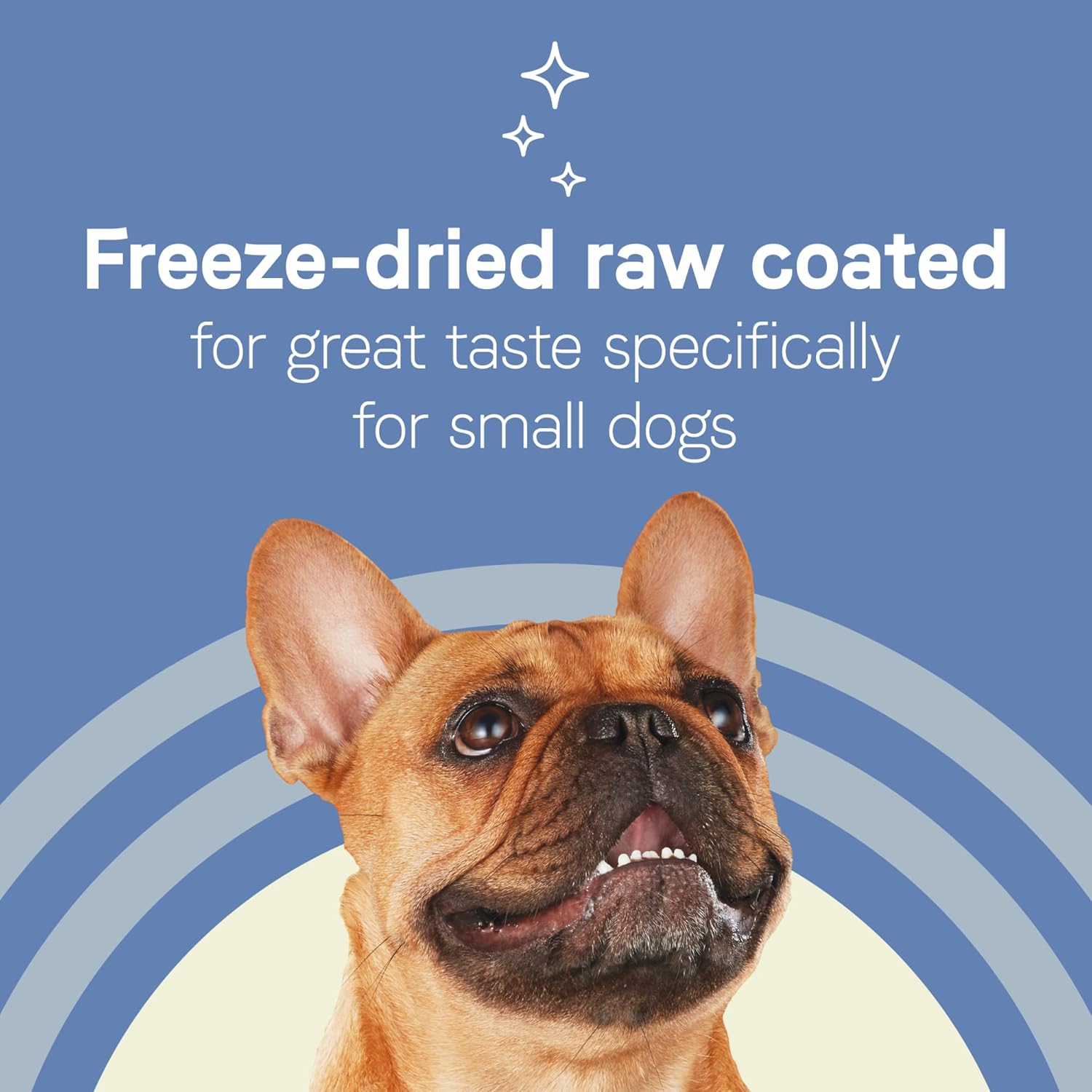10 lbs. Dry Dog Food for Small Breeds, Chicken & Wholesome Grains B919935