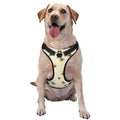 Reflective Adjustable Dog Harness F6078