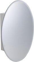 Oval Wall Mounted Medicine Cabinet Brushed Stainless Steel with Mirror 26" x 18" U7816