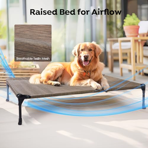 Cooling Elevated Dog Bed with Removable Waterproof Bolster Cushion Mat, 42x30inches, Beige N62898
