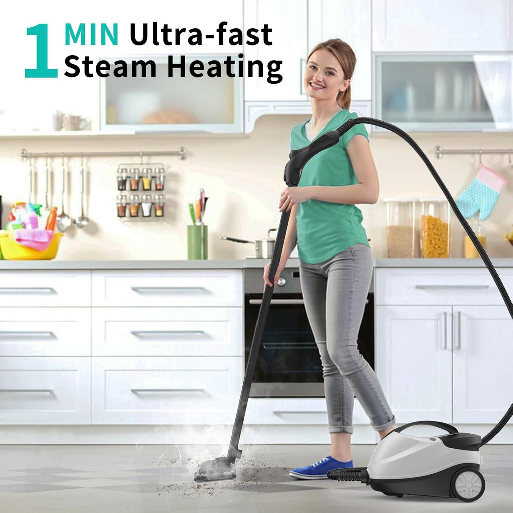 Steam Cleaner T746953