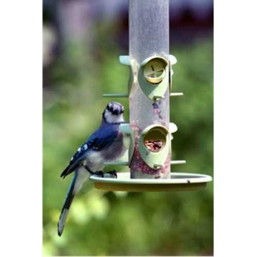 Classic Wild Bird Food L171932