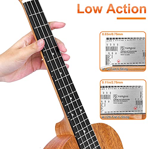 Concert Ukulele Mahogany 23 Inch Acoustic P566826