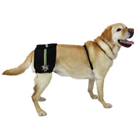 Medium Dog Brace and Support System D56179