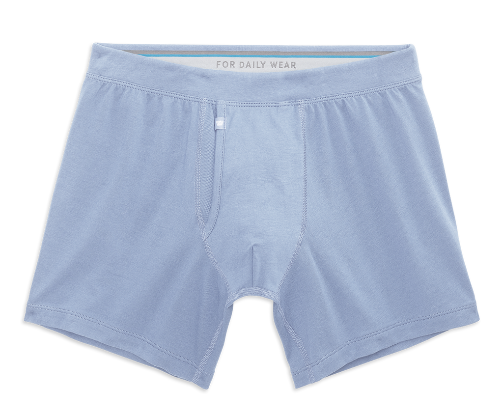 SILVER Boxer Brief
