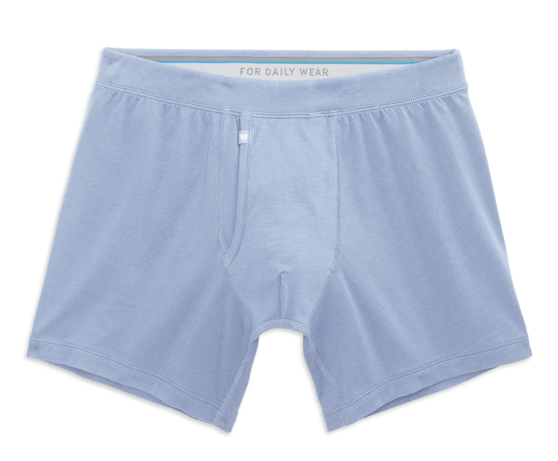 SILVER Boxer Brief