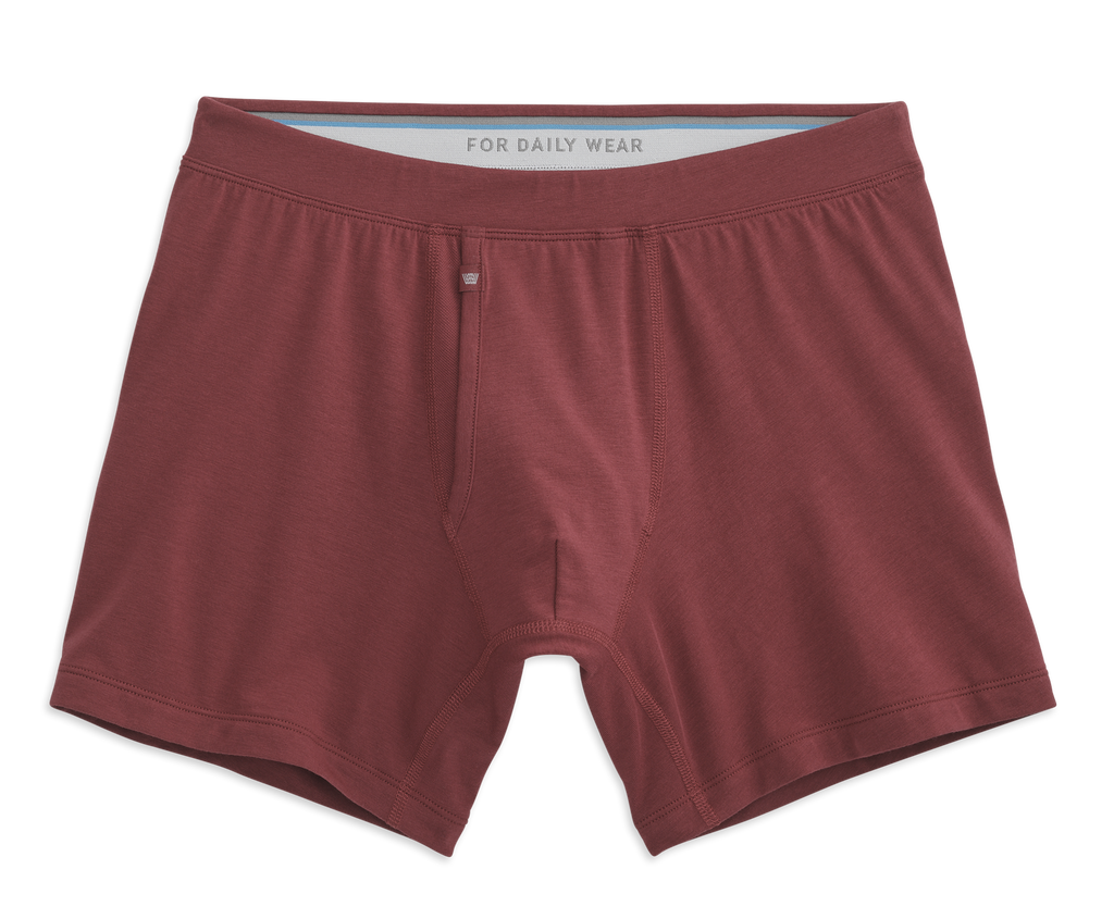 SILVER Boxer Brief