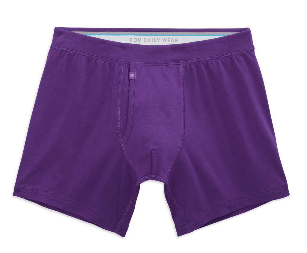 SILVER Boxer Brief
