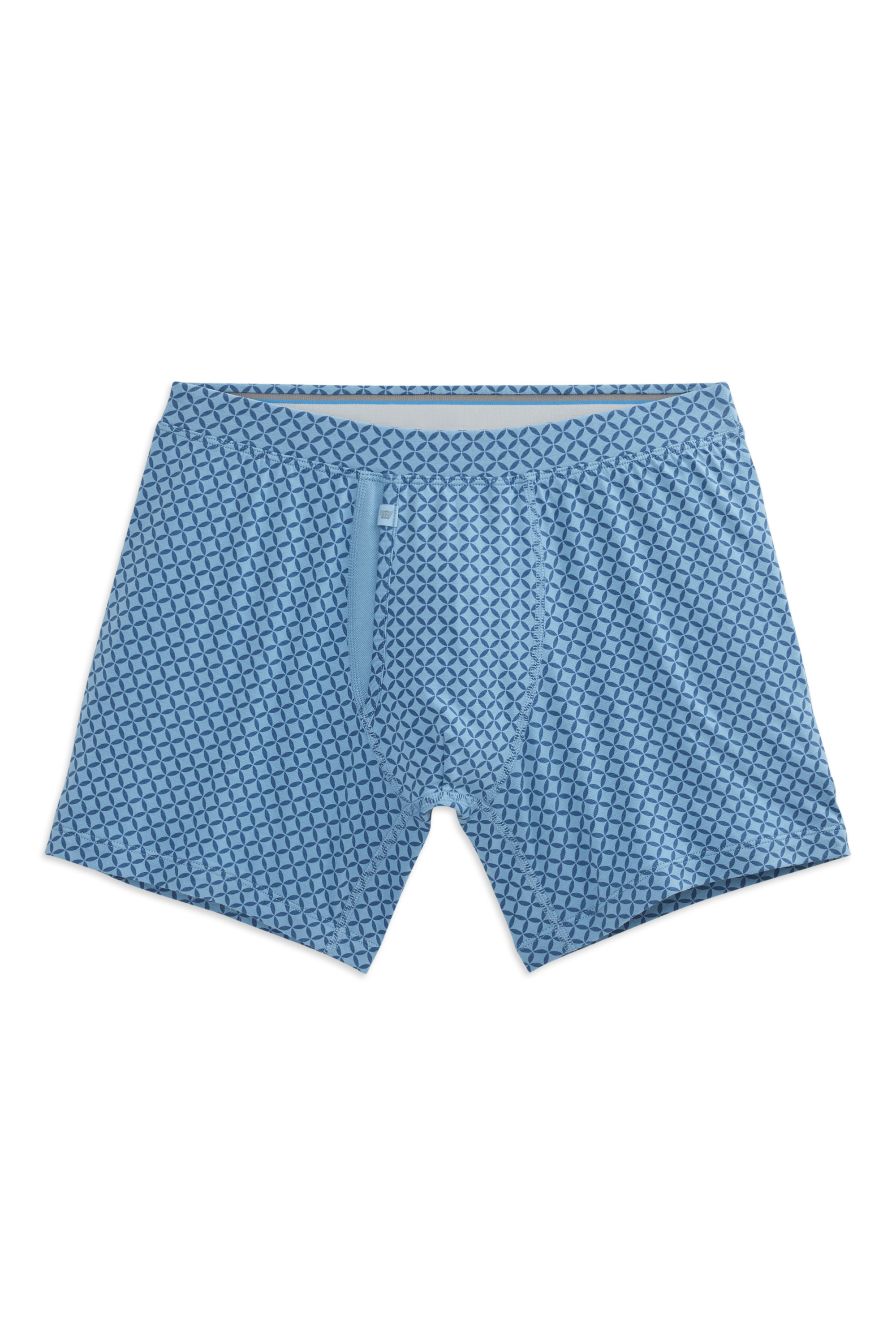 SILVER Boxer Brief