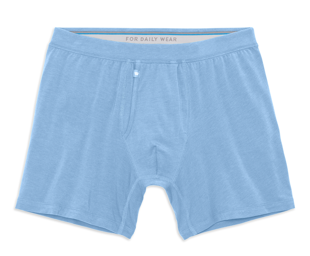 SILVER Boxer Brief