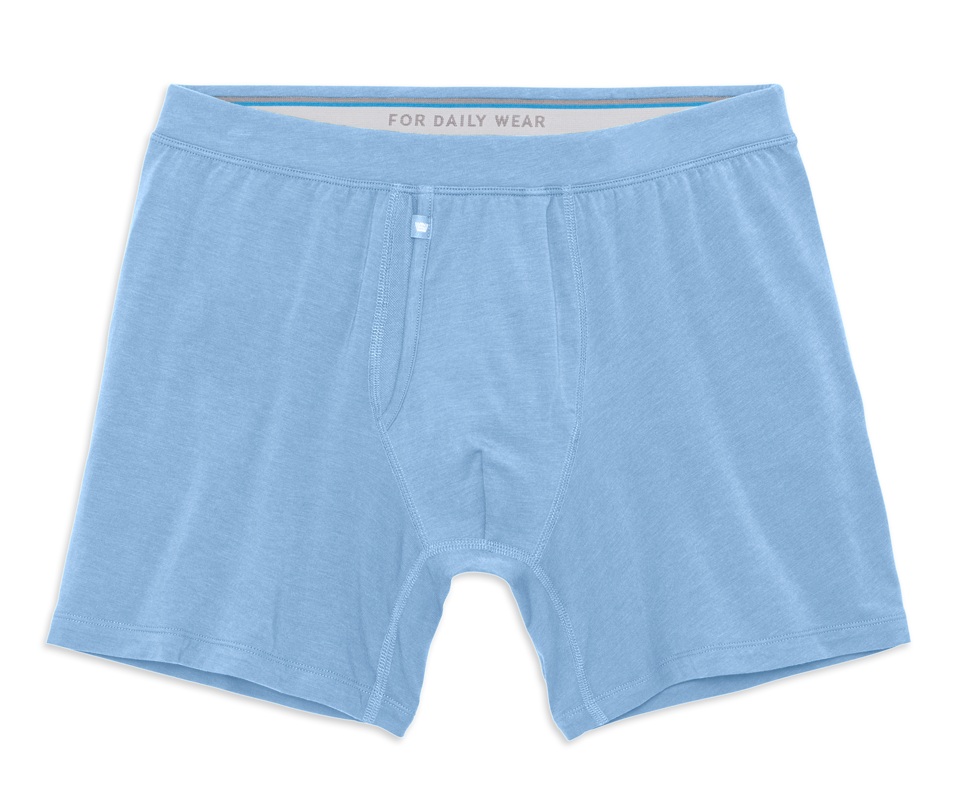 SILVER Boxer Brief