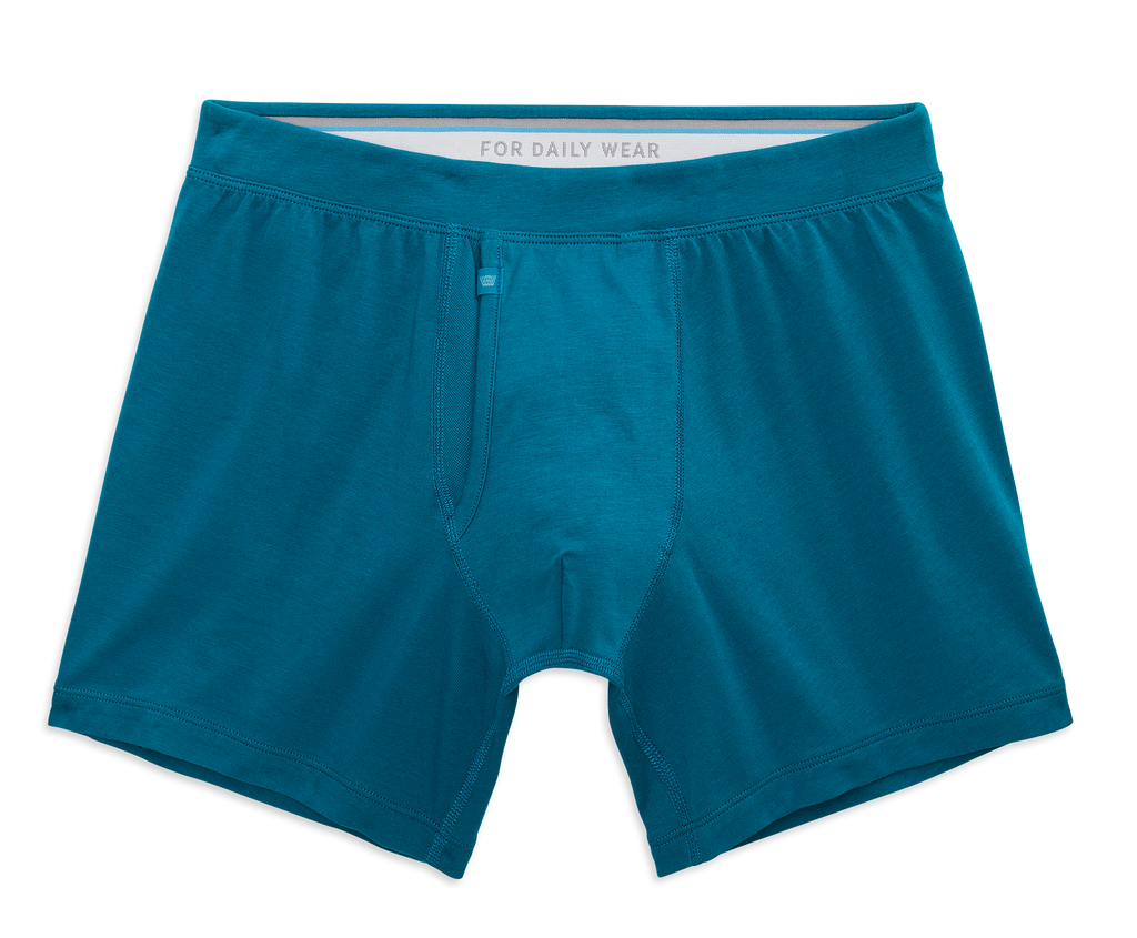 SILVER Boxer Brief