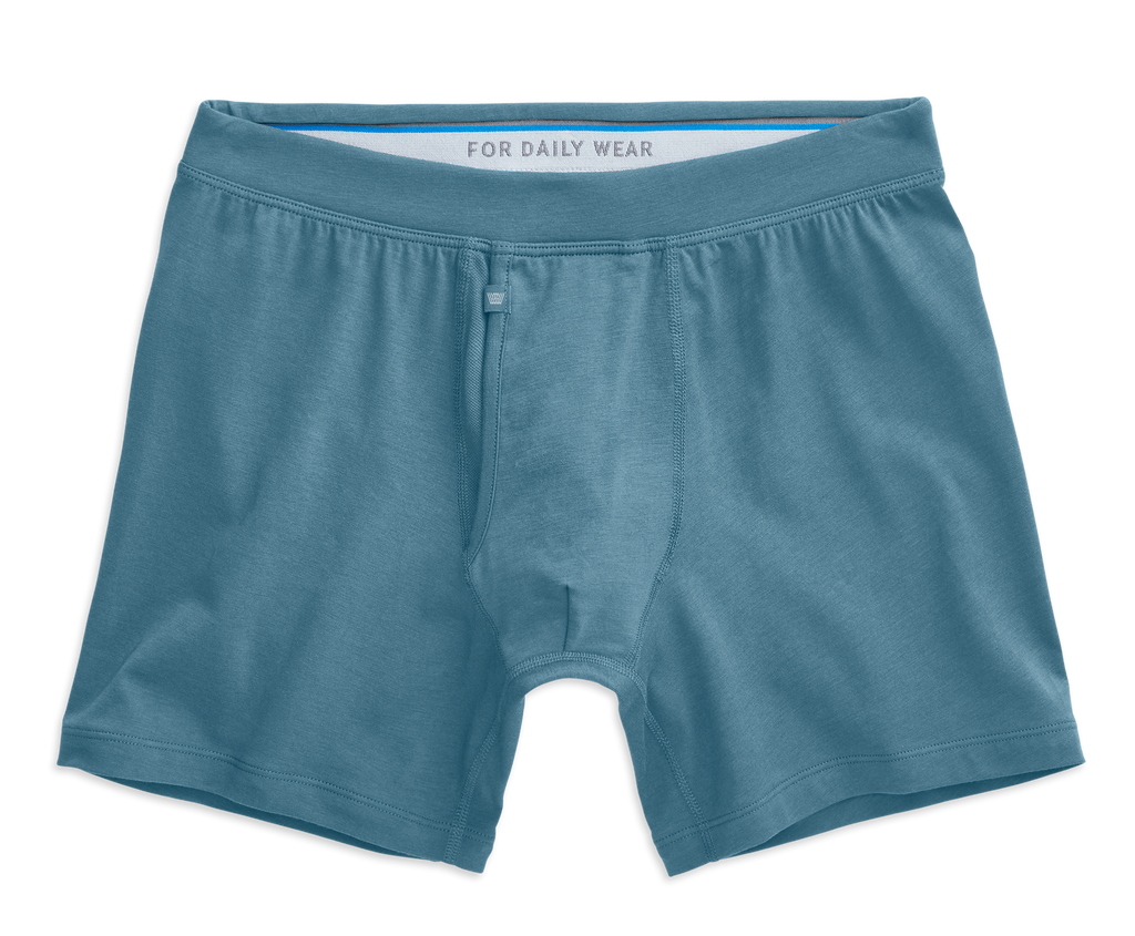 SILVER Boxer Brief