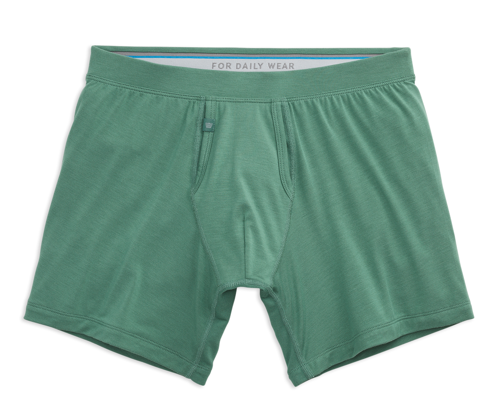 SILVER HD Boxer Brief