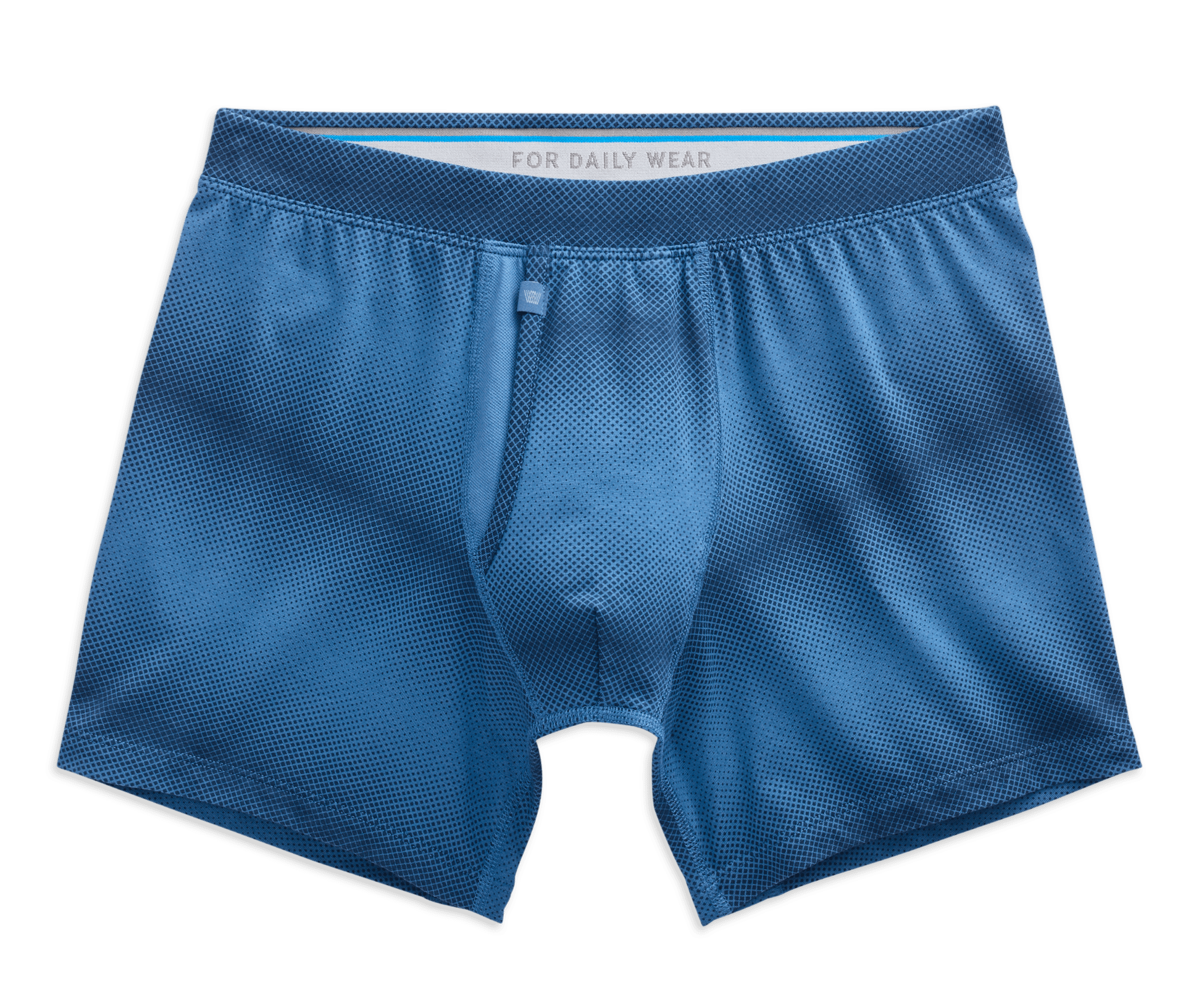 SILVER Boxer Brief