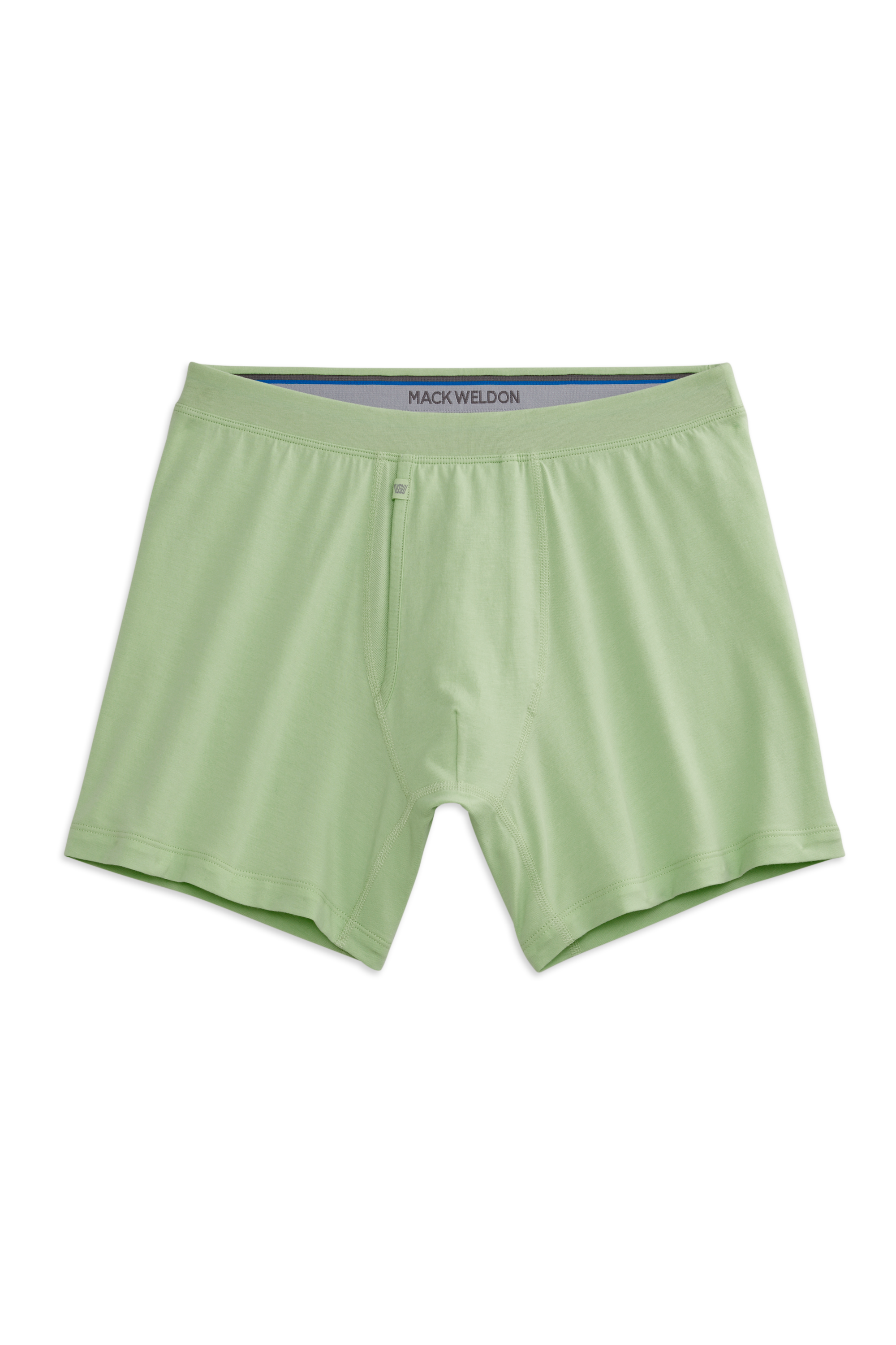 SILVER Boxer Brief