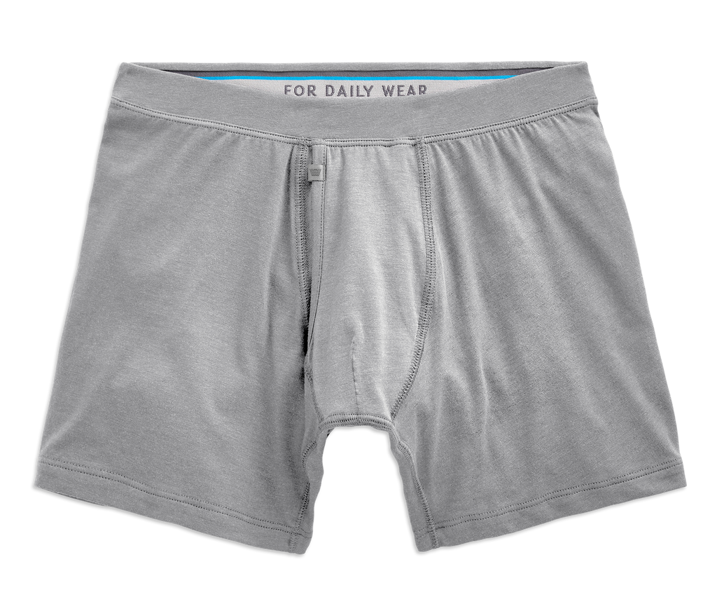 SILVER Boxer Brief