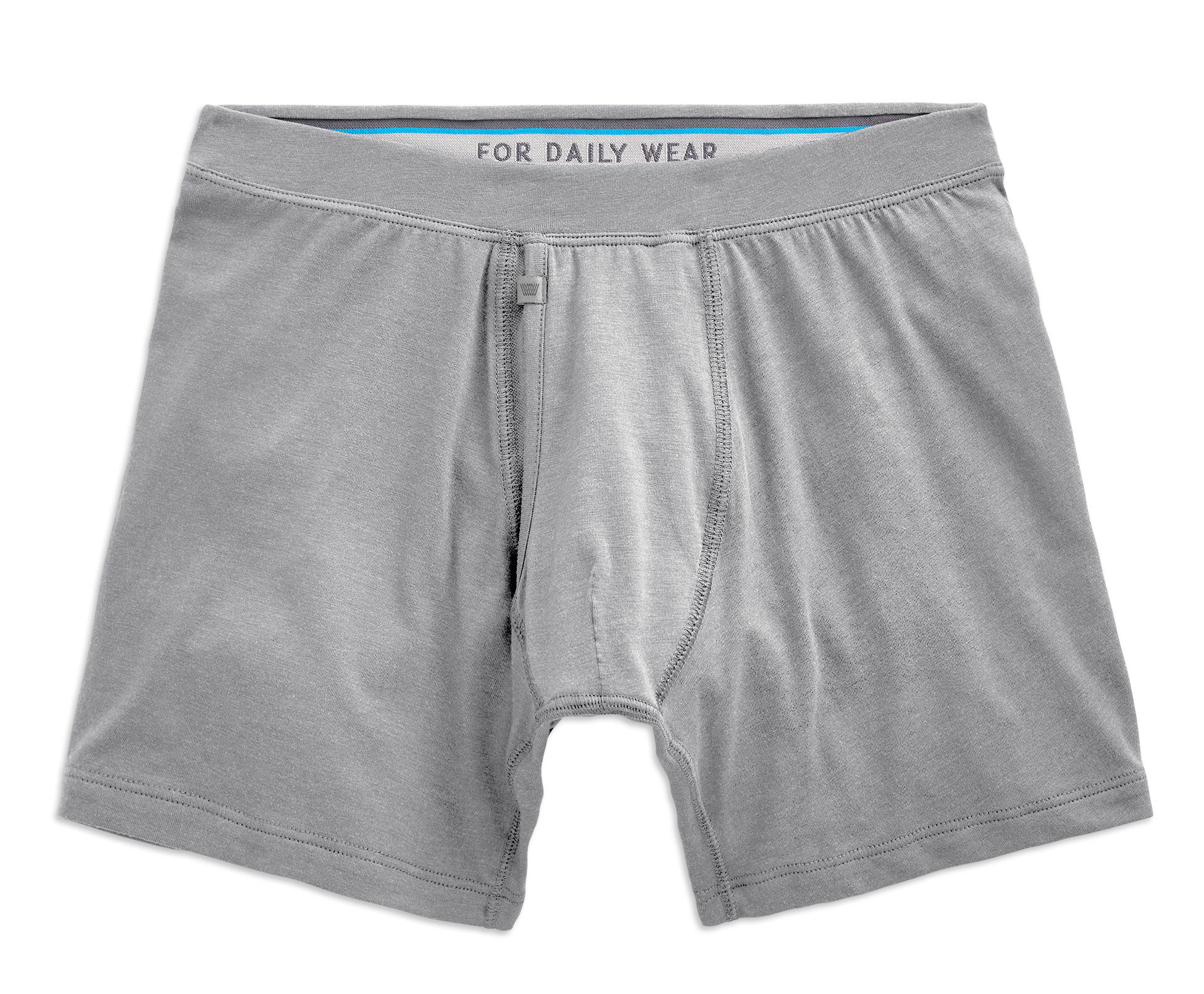 SILVER Boxer Brief