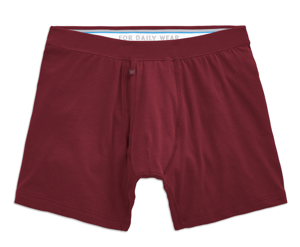 SILVER Boxer Brief