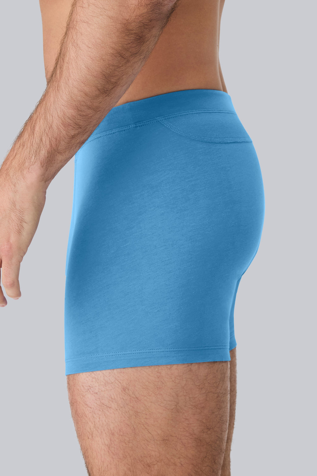 SILVER Boxer Brief